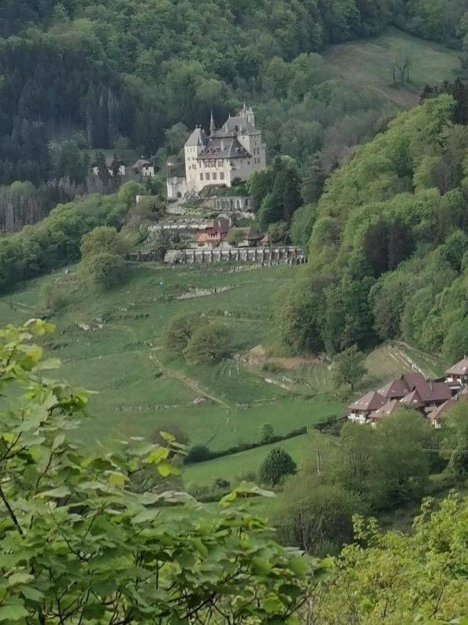 Maisonnette Talloires Kültér fotó
